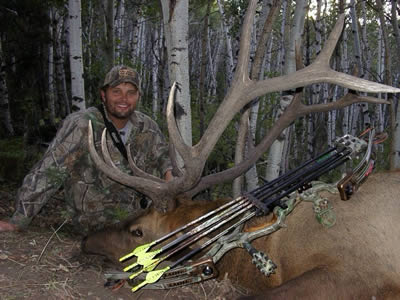 Elk Hunts